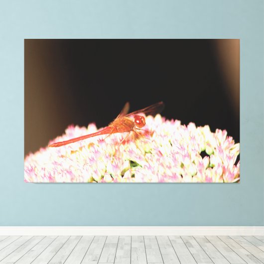 Rote Libelle Leinwanddruck (Insitu (Holzboden))