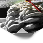 Rote Libelle (Sympetrum vicinum) Poster (Ecke)