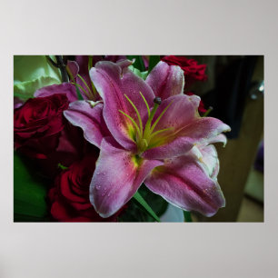 ROTE LILIENBLUME POSTER