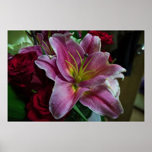 ROTE LILIENBLUME POSTER (Vorne)