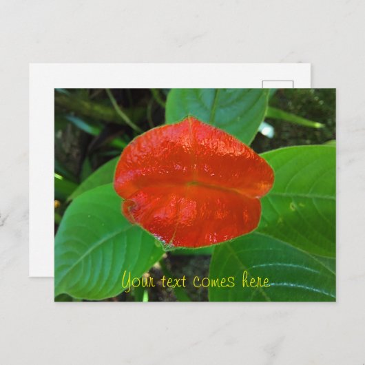 Rote Lippen Feiertagspostkarte (Vorne/Hinten)