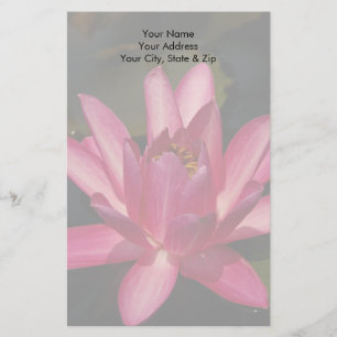 Rote Lotus-Seerose-Blume Briefpapier