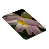 Rote Lotusblume III Sommerflor Magnet (Rechte Seite)