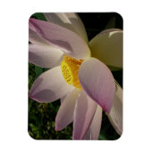 Rote Lotusblume III Sommerflor Magnet (Vertikal)