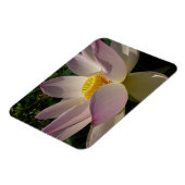 Rote Lotusblume III Sommerflor Magnet (Linke Seite)