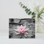 Rote Lotusblume Postkarte (Stehend Vorderseite)