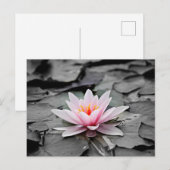 Rote Lotusblume Postkarte (Vorne/Hinten)