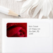 Rote Macro-Rose mit Wassertropfen (Insitu)