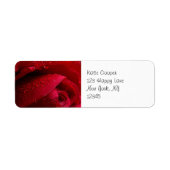 Rote Macro-Rose mit Wassertropfen (Vorne)