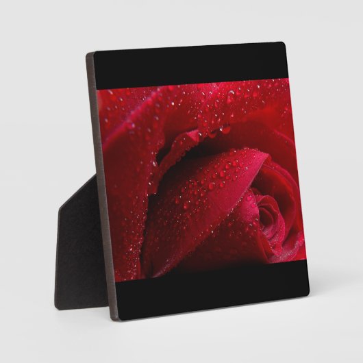Rote Macro-Rose mit Wassertropfen Fotoplatte (Vorderseite)