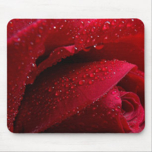 Rote Macro-Rose mit Wassertropfen Mousepad
