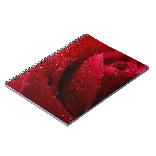 Rote Macro-Rose mit Wassertropfen Notizblock (Linke Seite)
