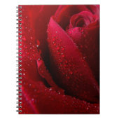 Rote Macro-Rose mit Wassertropfen Notizblock (Vorderseite)