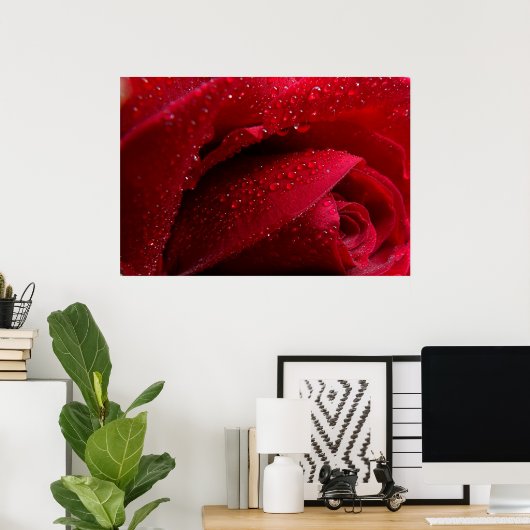 Rote Macro-Rose mit Wassertropfen Poster (Heimbüro)