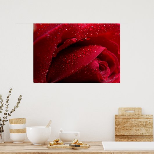 Rote Macro-Rose mit Wassertropfen Poster (Küche)