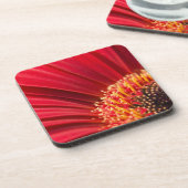 Rote Makrogerbera-Gänseblümchen-Blume Untersetzer (Linke Seite)