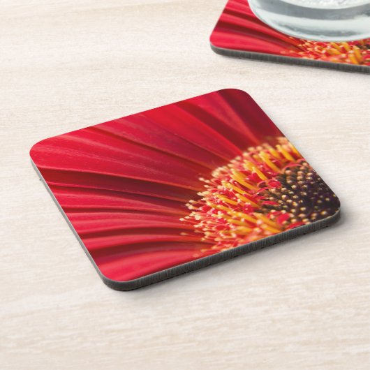 Rote Makrogerbera-Gänseblümchen-Blume Untersetzer (Linke Seite)