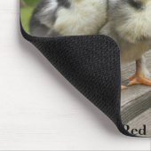 Rote Marans Küken Browns Mousepad (Ecke)