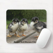 Rote Marans Küken Browns Mousepad (Mit Mouse)