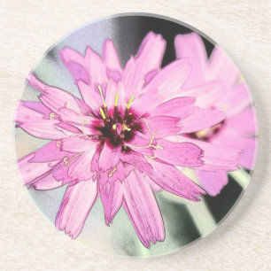 Rote Margerite. Florale Foto-Kunst. Getränkeuntersetzer