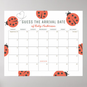 Rote Marienkäfer Raten Den Geburtstermin Kalender Poster