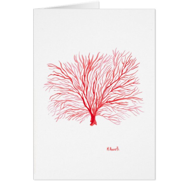 Rote Meereswelt (Vorne)