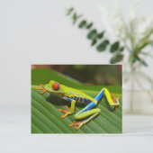 Rote mit Augen Baum-Frosch-Postkarte Postkarte (Stehend Vorderseite)