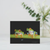Rote mit Augen Baumfrösche (Agalychnis callidryas) Postkarte (Stehend Vorderseite)