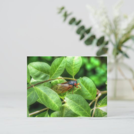 Rote Mit Augen Cicada Faltkarte Postkarte (Stehend Vorderseite)