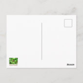 Rote Mit Augen Cicada Faltkarte Postkarte (Rückseite)