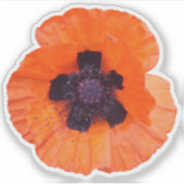 Rote Mohn-Foto Aufkleber (Vorderseite)