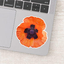 Rote Mohn-Foto