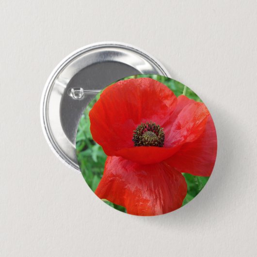 Rote Mohnblume Blume Button (Vorne & Hinten)