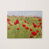 Rote Mohnblume Blume Feldart Puzzle (Horizontal)