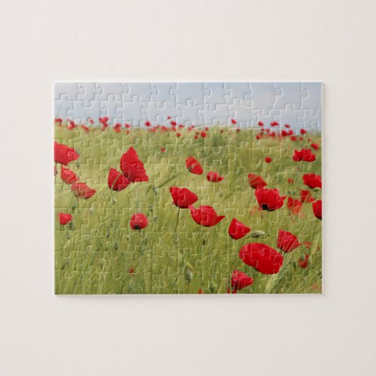 Rote Mohnblume Blume Feldart Puzzle (Horizontal)
