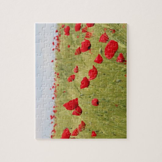 Rote Mohnblume Blume Feldart Puzzle (Vertikal)