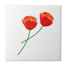 Rote Mohnblume Blume