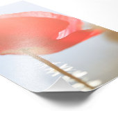Rote Mohnblume Blume im Nebel Fotodruck (Ecke)