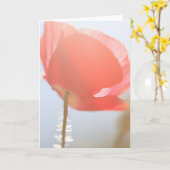 Rote Mohnblume Blume in der Nebelblume Karte (Gelbe Blume)