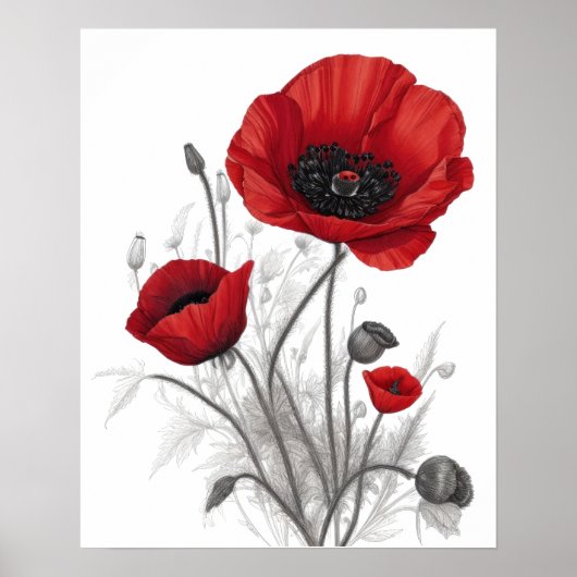 Rote Mohnblume Blume Poster (Vorne)