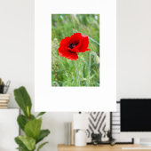 Rote Mohnblume-Blume Poster (Heimbüro)