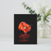 Rote Mohnblume Blume Postkarte (Stehend Vorderseite)