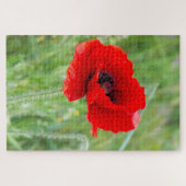 Rote Mohnblume-Blume Puzzle (Horizontal)