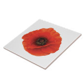 Rote Mohnblume Fliese (Seite)
