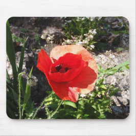 Rote Mohnblume Mousepad
