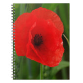Rote Mohnblume Notizblock (Vorderseite)