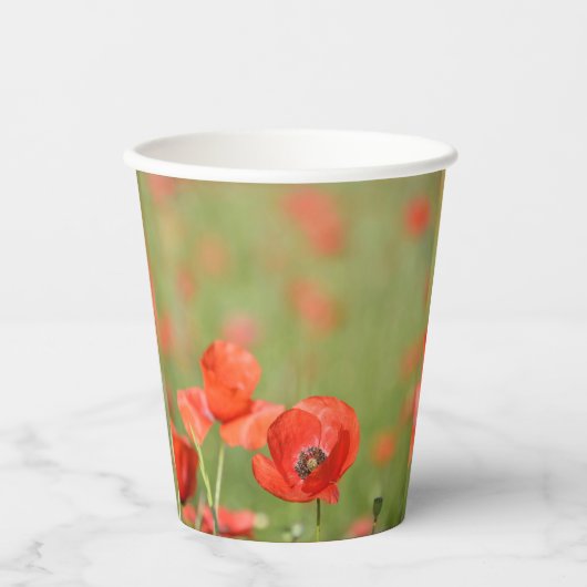 Rote Mohnblume Pappbecher (Vorderseite)