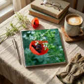 Rote Mohnblume Sommer Notizen Personalisiertes Not Notizblock