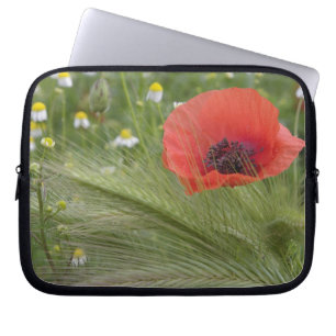 Rote Mohnblume, Toskana, Italien Laptopschutzhülle