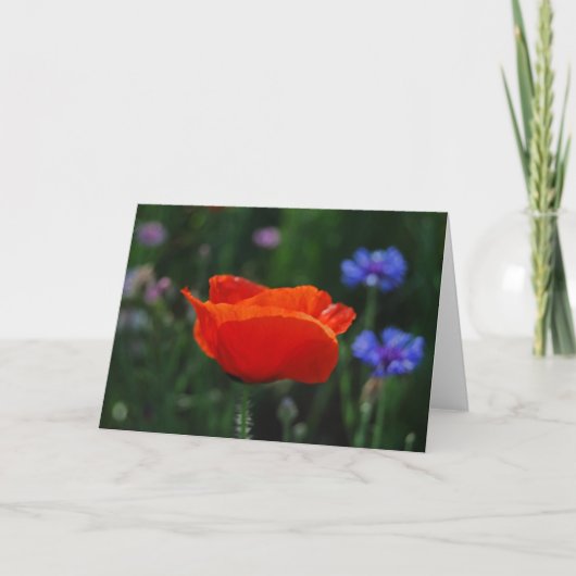 Rote Mohnblume und Bedeutung Feiertagskarte (Vorderseite)